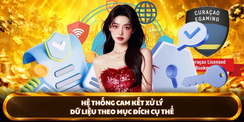 Hệ thống cam kết xử lý dữ liệu quyền riêng tư theo mục đích cụ thể