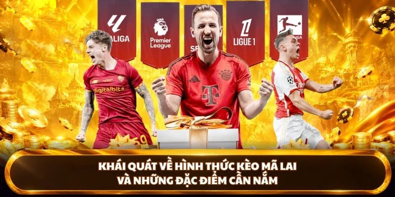 Khái quát về hình thức kèo mã lai tại DU88 và những đặc điểm cần nắm
